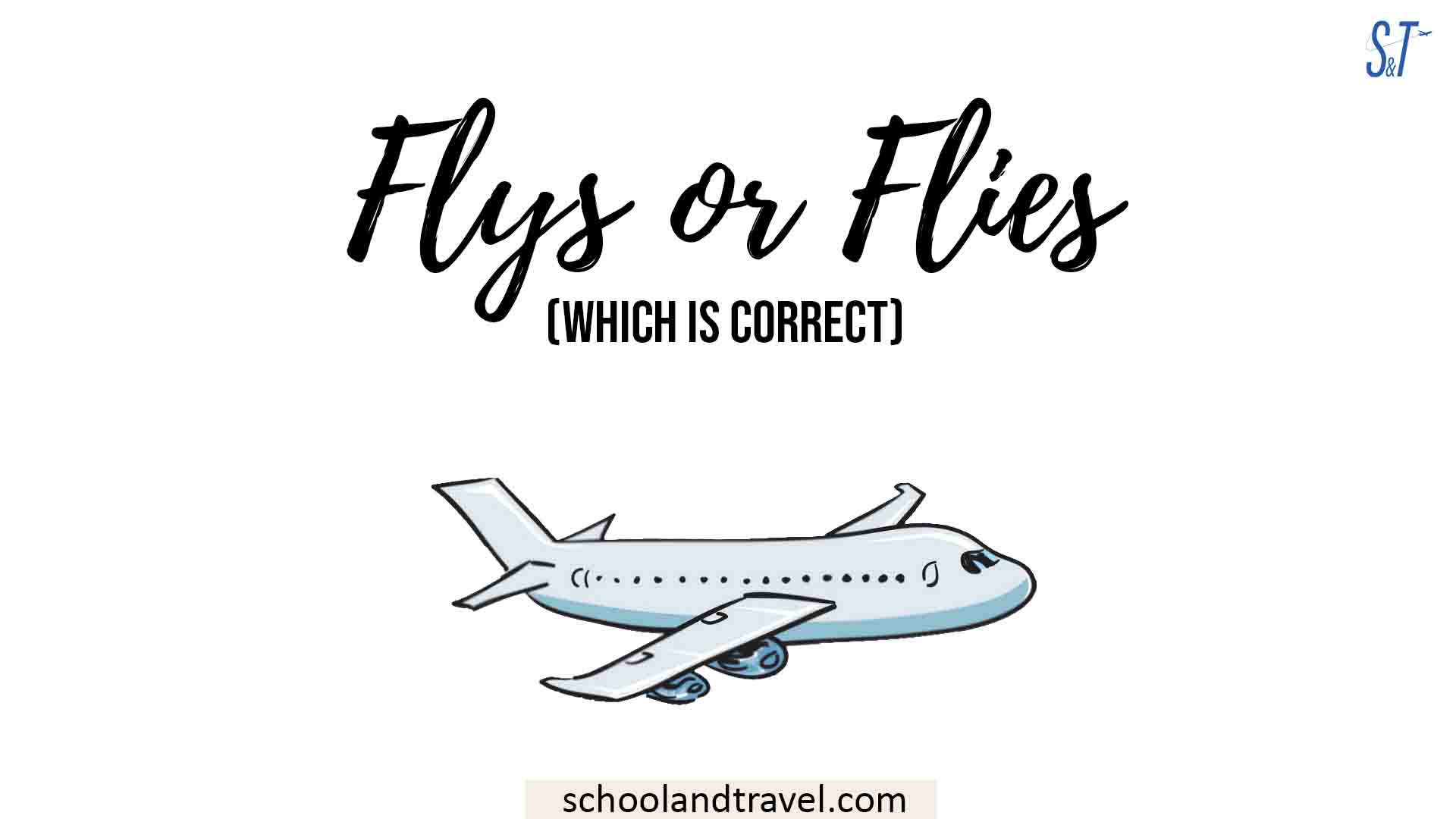 Flys or Flies