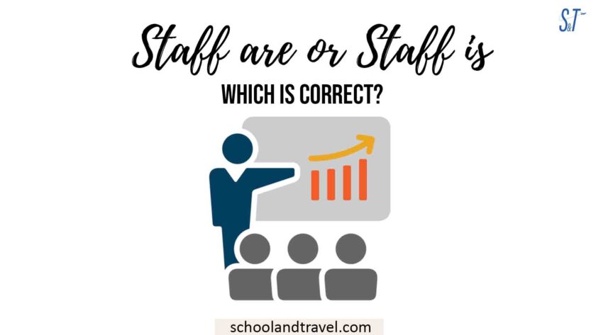 staff-are-or-staff-is-which-is-correct