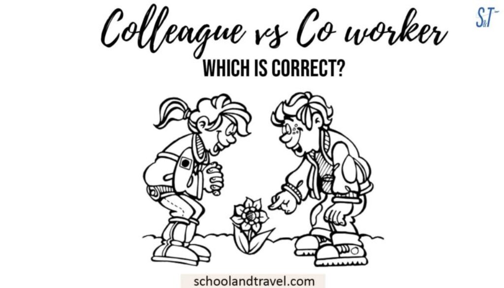 Colleague vs Coworker What's the difference? School & Travel