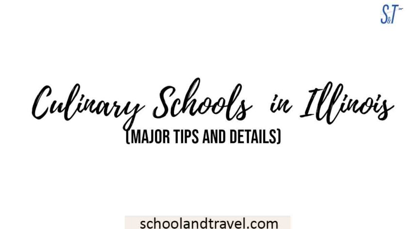 Top Culinary Schools in Illinois (Major tips and Info) - School & Travel