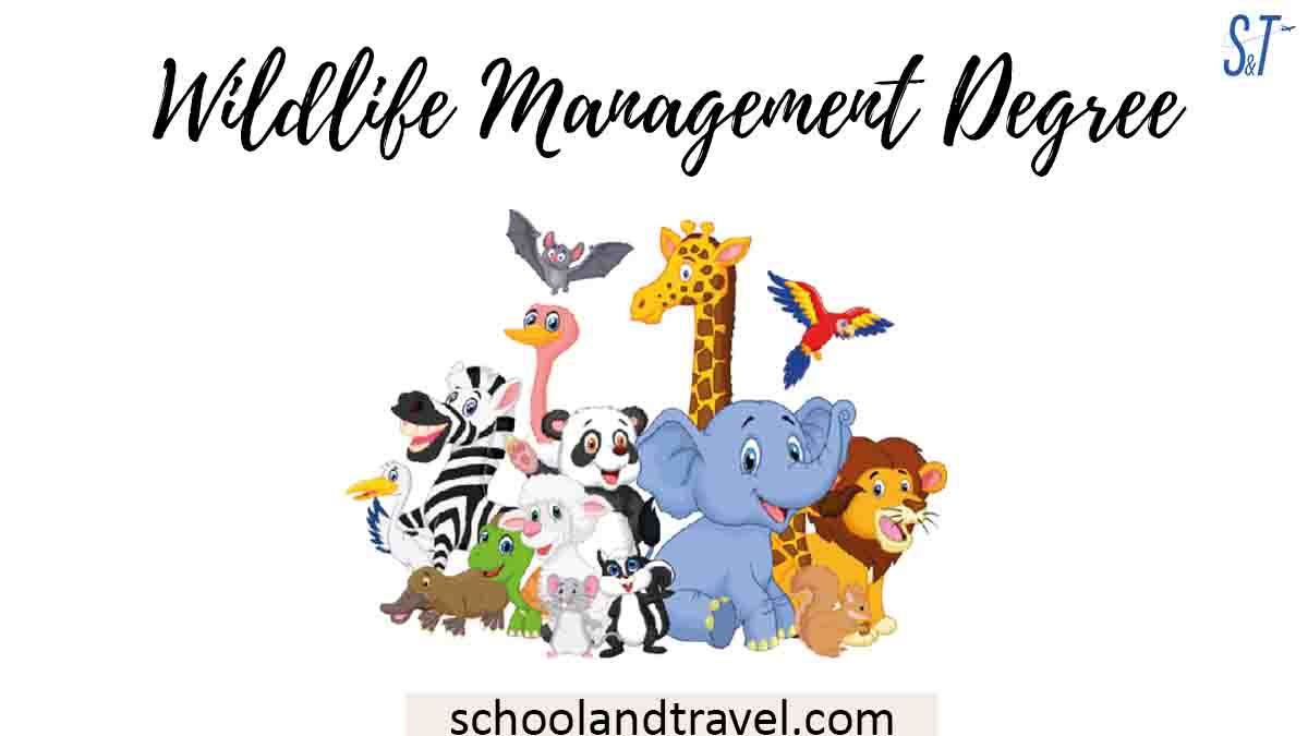 Wildlife Management Degree