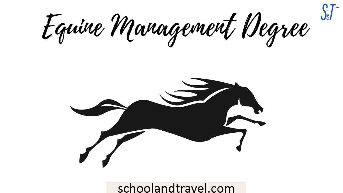 Equine Management Degree