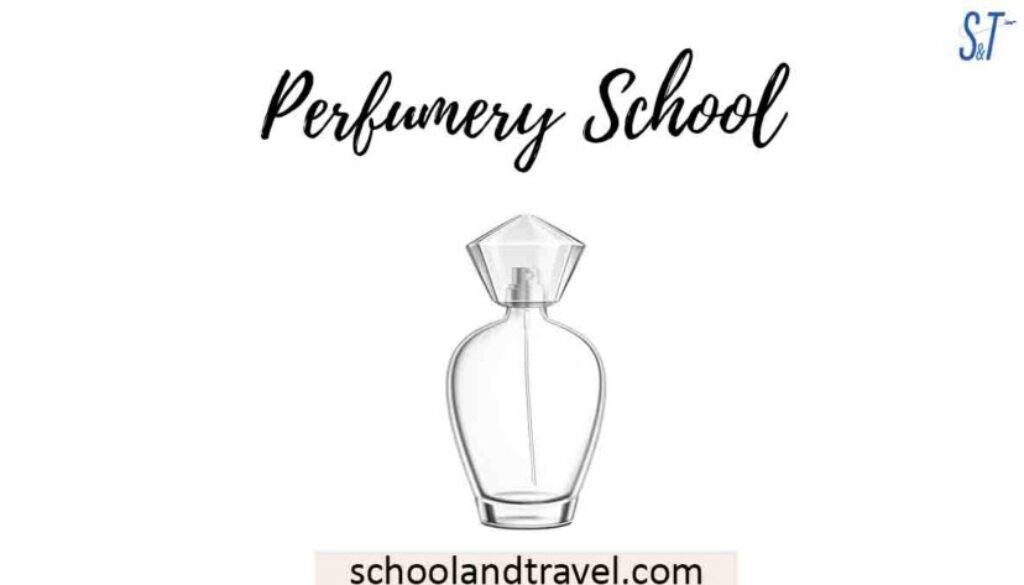 perfumery-school-meaning-benefits-skills-how-to-best-schools