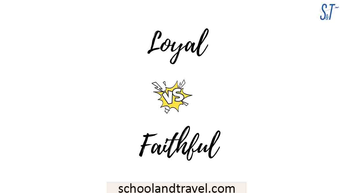 Loyal vs. Faithful