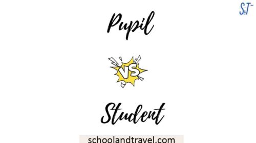 Pupil vs. Student