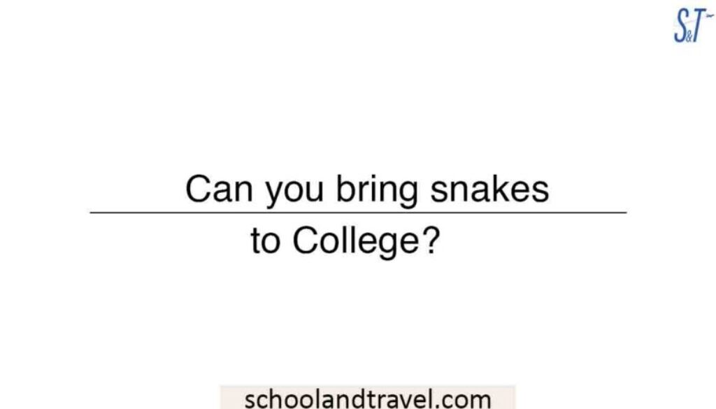 Can you bring snakes to College