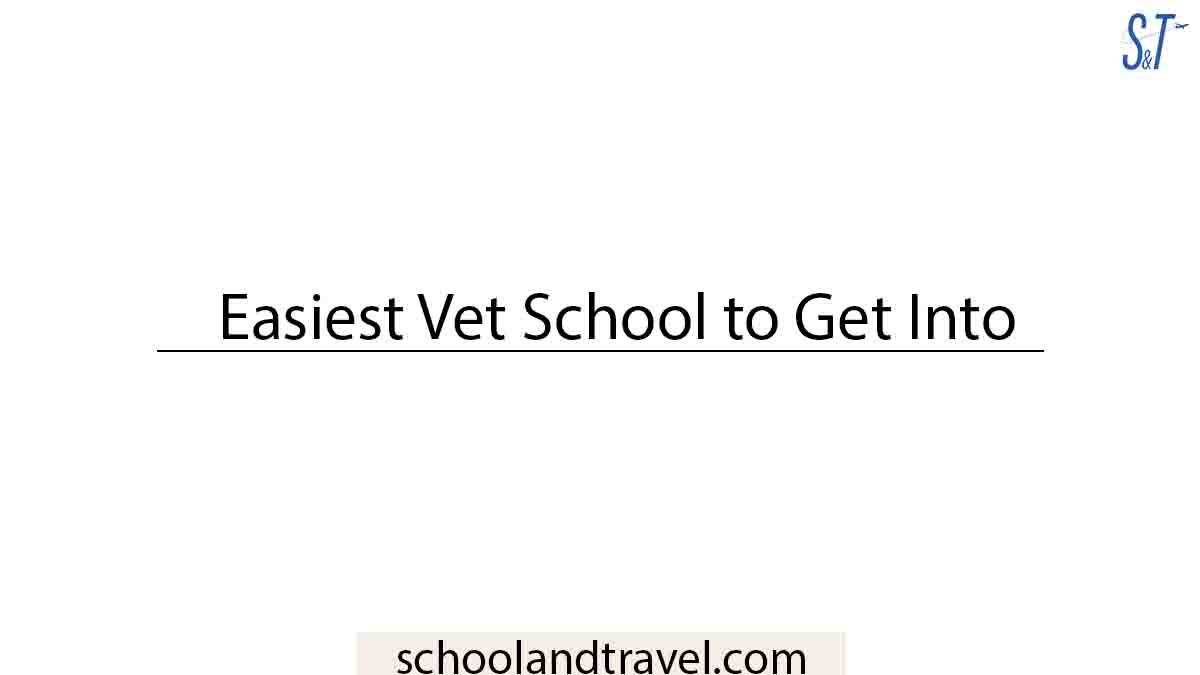 Easiest Vet School to Get Into