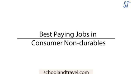 7+ Best Paying Jobs In Consumer Non-Durables (Updated)