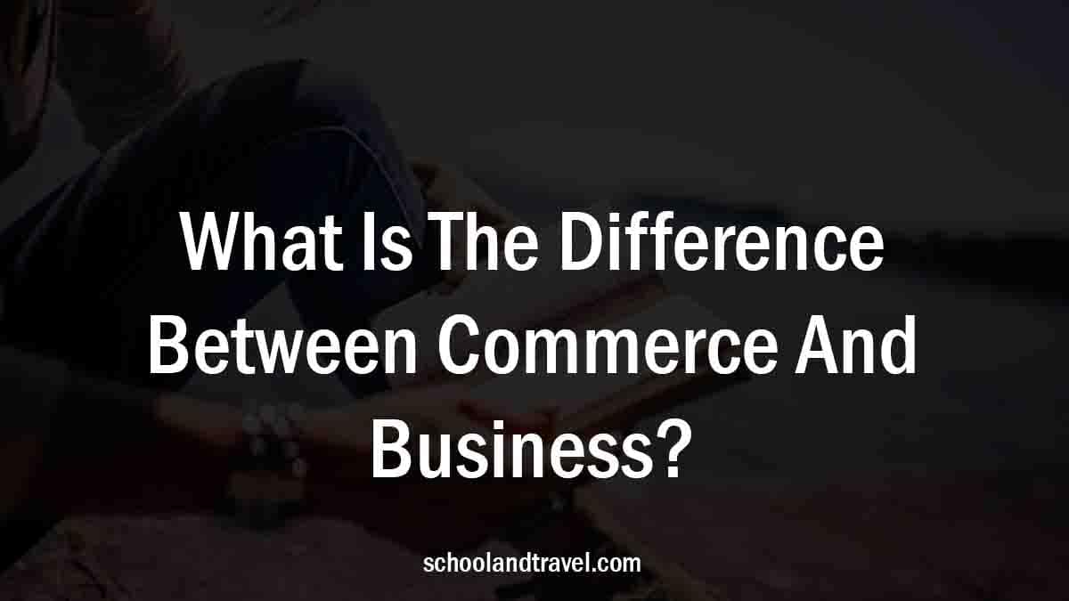 What Is The Difference Between Commerce And Business