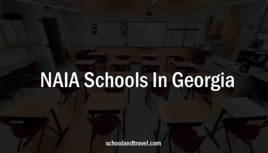 NAIA Schools In Georgia