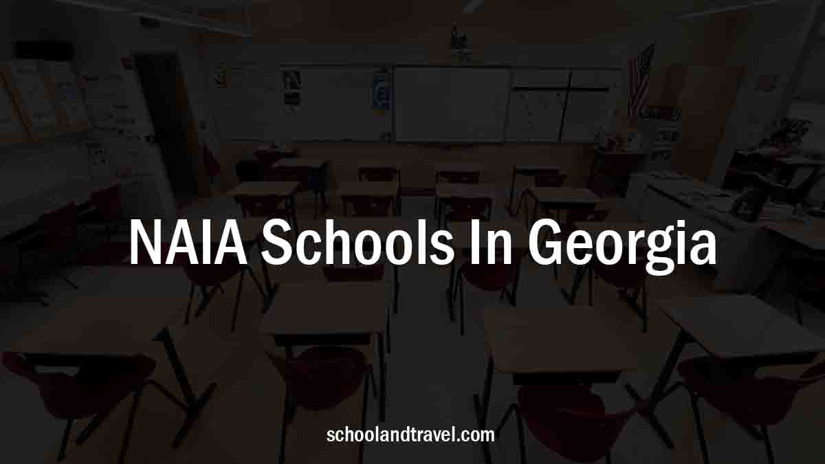 NAIA Schools In Georgia