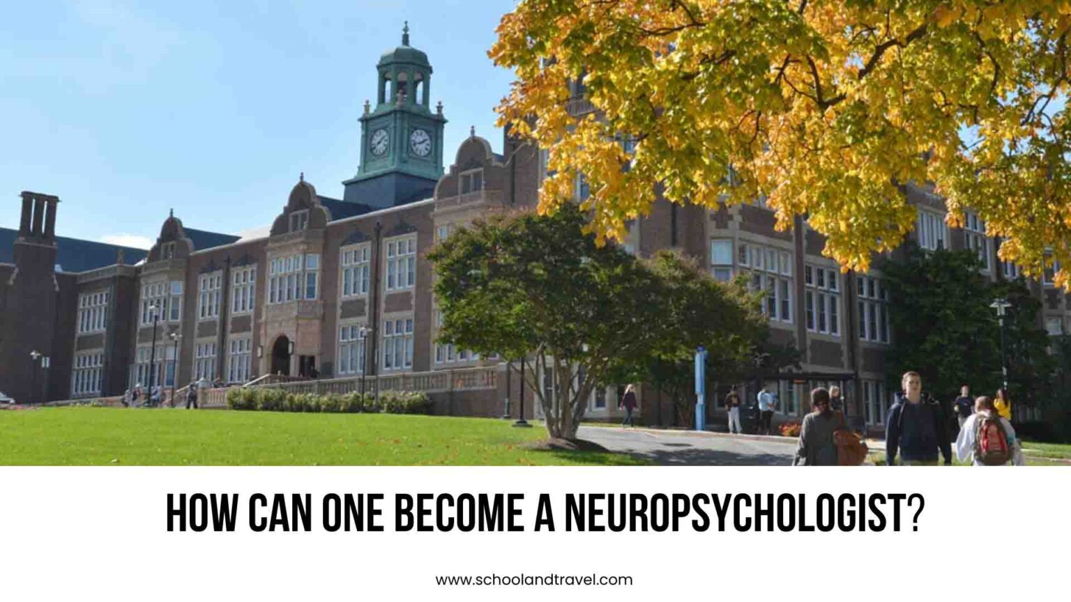 How To Become A Neuropsychologist (FAQs) | 2022