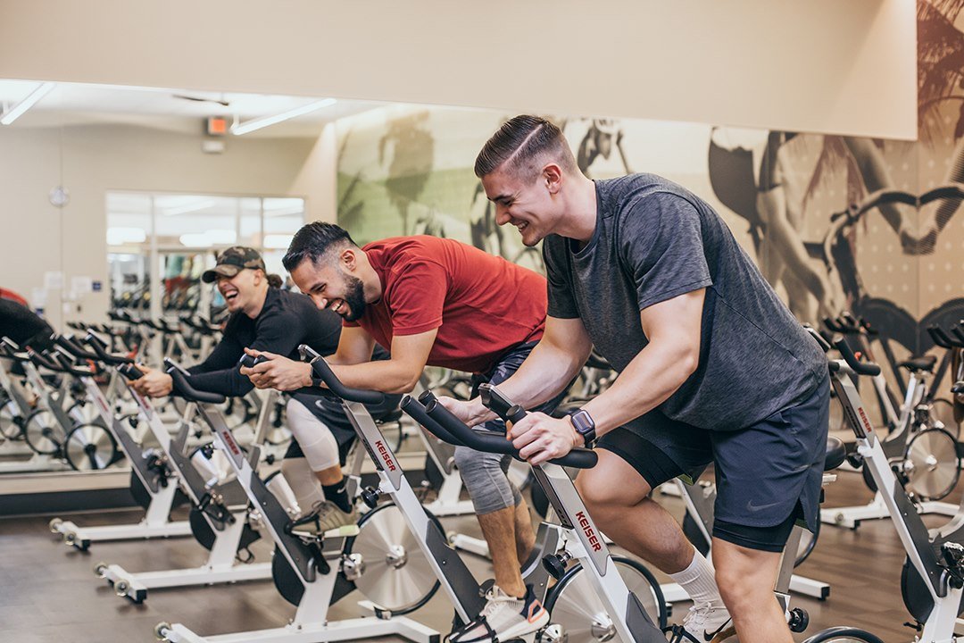 how-to-get-la-fitness-student-discount-faqs