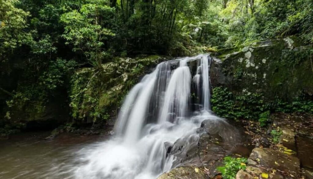 Mount Tamborine