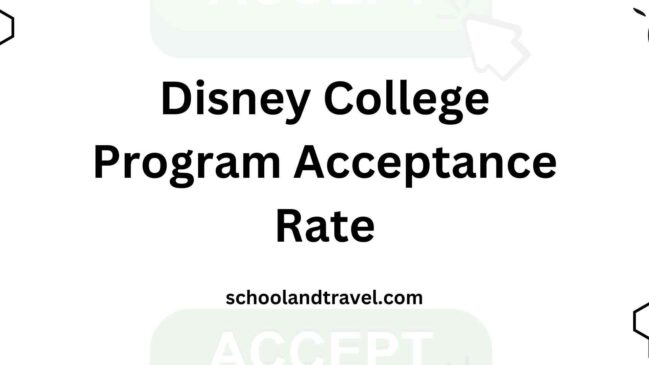 disney-college-program-acceptance-rate-factors-faqs