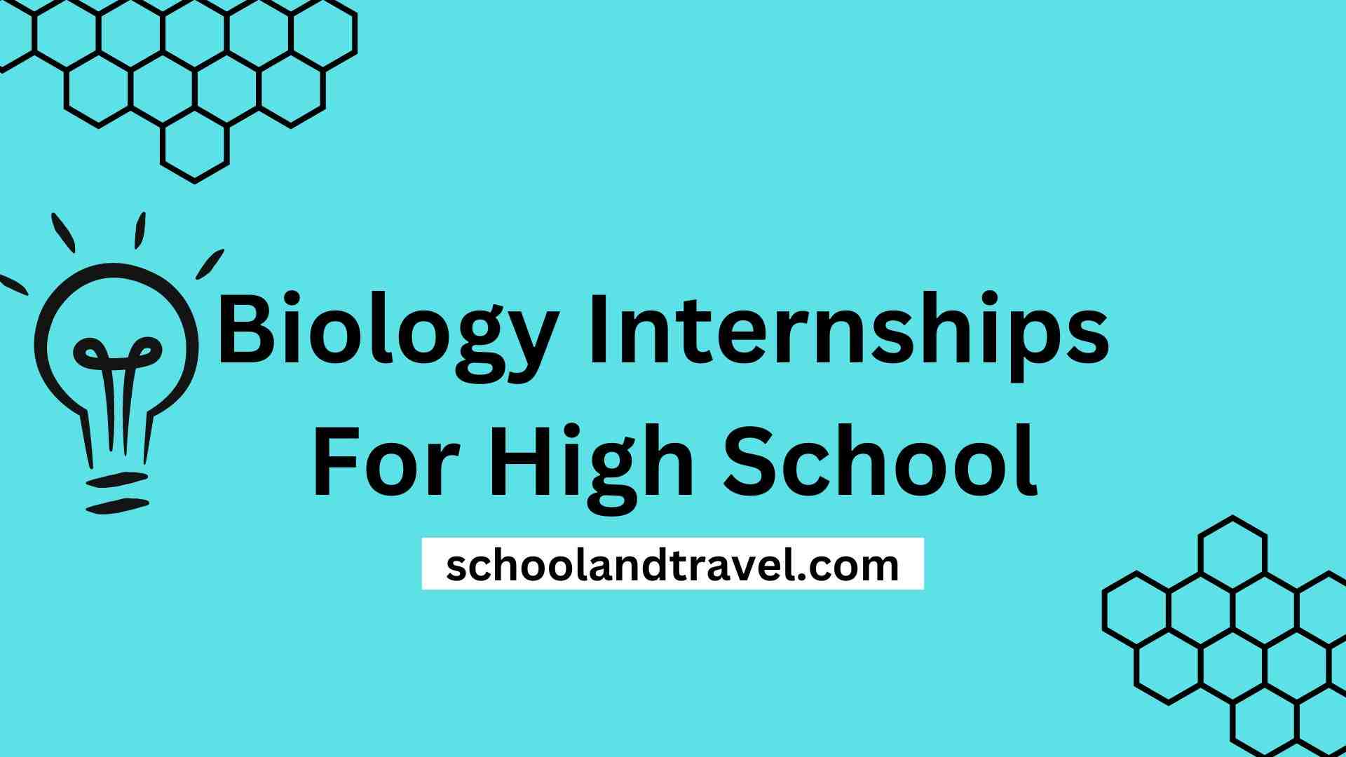 5+ Biology Internships For High School Students (FAQs)