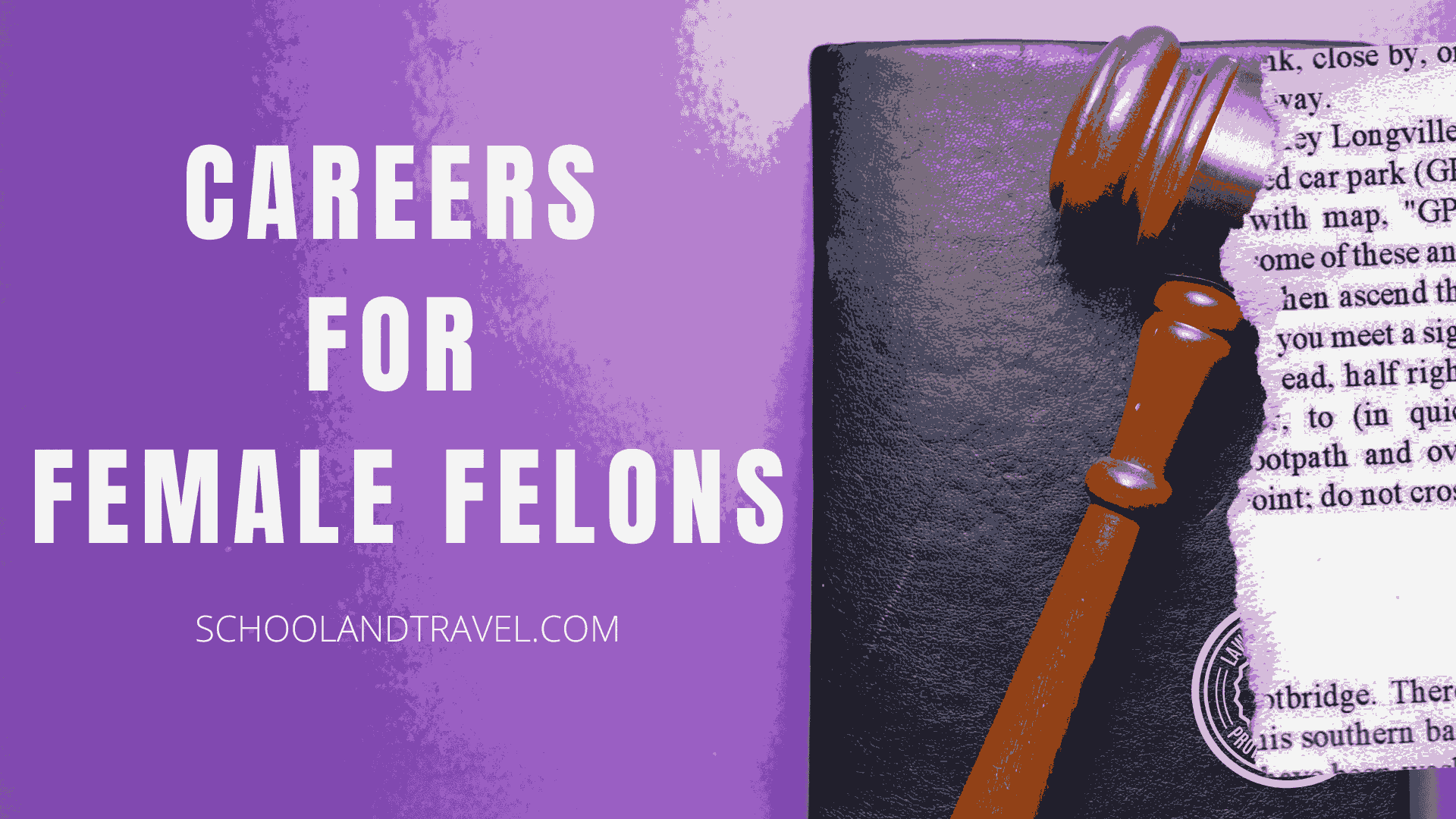 Careers for Female Felons