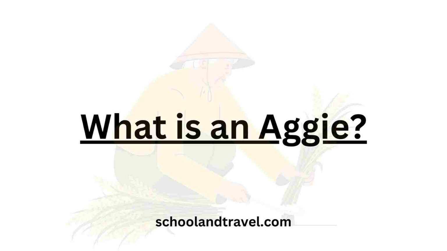 what-is-an-aggie-meaning-benefits-faqs