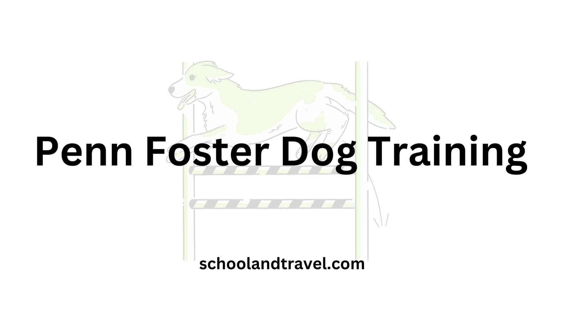 Penn Foster Dog Training